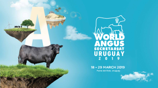 World Angus Secretariat Uruguay 2019