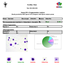 MMC Sperm DNA Fragmentation Report
